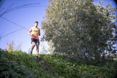 FR-Sevilla-Domingo_20