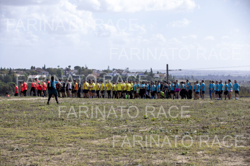 FR-Sevilla-Domingo_274