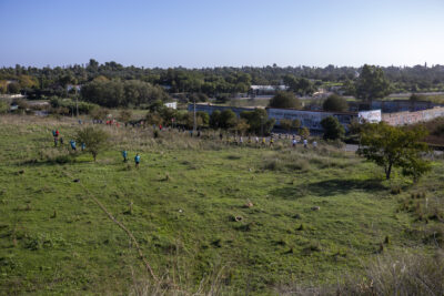 FR-Sevilla-Domingo_31