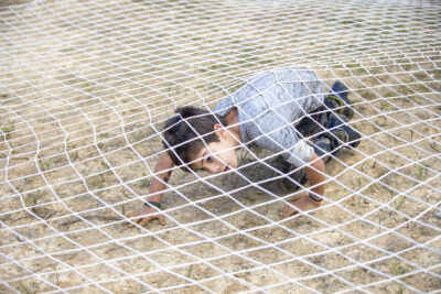 FR-Sevilla-Domingo_313